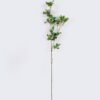 Artificial Flower Rhaphiolepis single stem GS-37526006_6 Artificial Flower 16*6*107cm Rhaphiolepis single stem GS-37526006 2026Jul 3,000+ sqm showroom with thousands of artificial flowers, plants & trees ready for global sourcing.
