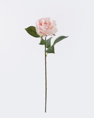Artificial Flower 10*6*53cm Rose single stem/moist real touch GS-35026002-P1 2026Jul 3,000+ sqm showroom with thousands of artificial flowers, plants & trees ready for global sourcing. Artificial Flower 10*6*53cm Rose single stem/moist real touch GS-35026002-P1 2026Jul 3,000+ sqm showroom with thousands of artificial flowers, plants & trees ready for global sourcing.