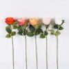 Artificial Flower Rose single stem moist real touch GS-35026003_1 Artificial Flower 14*5*54cm Rose single stem/moist real touch GS-35026003 2026Jul 3,000+ sqm showroom with thousands of artificial flowers, plants & trees ready for global sourcing.