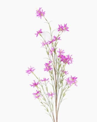 Artificial Flower 18*9*85cm Senno campion single stem GS-59026008-Z1 2026Aug 3,000+ sqm showroom with thousands of artificial flowers, plants & trees ready for global sourcing. Artificial Flower 18*9*85cm Senno campion single stem GS-59026008-Z1 2026Aug 3,000+ sqm showroom with thousands of artificial flowers, plants & trees ready for global sourcing.