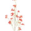 Artificial Flower 18*9*85cm Senno campion single stem GS-59026008 2026Aug 3,000+ sqm showroom with thousands of artificial flowers, plants & trees ready for global sourcing.