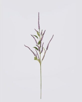 Artificial Flower 27*9*94cm Snake Tail Stems single stem GS-57926010-Z1 2026Aug 3,000+ sqm showroom with thousands of artificial flowers, plants & trees ready for global sourcing. Artificial Flower 27*9*94cm Snake Tail Stems single stem GS-57926010-Z1 2026Aug 3,000+ sqm showroom with thousands of artificial flowers, plants & trees ready for global sourcing.