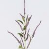 Artificial Flower Snake Tail Stems single stem GS-57926010-Z1_2 Artificial Flower 27*9*94cm Snake Tail Stems single stem GS-57926010-Z1 2026Aug 3,000+ sqm showroom with thousands of artificial flowers, plants & trees ready for global sourcing.