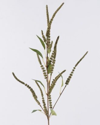 Artificial Flower 27*9*94cm Snake Tail Stems single stem GS-57926010 2026Aug 3,000+ sqm showroom with thousands of artificial flowers, plants & trees ready for global sourcing. Artificial Flower 27*9*94cm Snake Tail Stems single stem GS-57926010 2026Aug 3,000+ sqm showroom with thousands of artificial flowers, plants & trees ready for global sourcing.