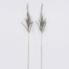 Artificial Flower Snake tail grass single stem GS-57926009_2 Artificial Flower 80*3*94cm Snake tail grass single stem GS-57926009 2026Aug 3,000+ sqm showroom with thousands of artificial flowers, plants & trees ready for global sourcing.