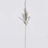 Artificial Flower Snake tail grass single stem GS-57926009_5 Artificial Flower 80*3*94cm Snake tail grass single stem GS-57926009 2026Aug 3,000+ sqm showroom with thousands of artificial flowers, plants & trees ready for global sourcing.