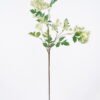 Artificial Flower Snow Pearl Flower Single Stem GS-27926006_4 Artificial Flower 20*12*95cm Snow Pearl Flower Single Stem GS-27926006 2026Jul 3,000+ sqm showroom with thousands of artificial flowers, plants & trees ready for global sourcing.