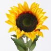 Artificial Flower Sunflower single stem GS-58826001-Y1_6 Artificial Flower 20*16*69cm Sunflower single stem GS-58826001-Y1 2026Aug 3,000+ sqm showroom with thousands of artificial flowers, plants & trees ready for global sourcing.