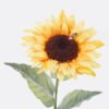 Artificial Flower Sunflower single stem GS-71226011_2 Artificial Flower 14*12*36cm Sunflower single stem GS-71226011 2026Aug 3,000+ sqm showroom with thousands of artificial flowers, plants & trees ready for global sourcing.