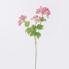 Artificial Flower Sweet alyssum 3 single stem GS-30026004-P1 Artificial Flower 16*6*52cm Sweet alyssum *3 single stem GS-30026004-P1 2026Jul 3,000+ sqm showroom with thousands of artificial flowers, plants & trees ready for global sourcing.