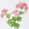 Artificial Flower Sweet alyssum 3 single stem GS-30026004-P1_2 Artificial Flower 16*6*52cm Sweet alyssum *3 single stem GS-30026004-P1 2026Jul 3,000+ sqm showroom with thousands of artificial flowers, plants & trees ready for global sourcing.
