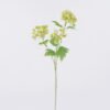 Artificial Flower Sweet alyssum 3 single stem GS-30026004_5 Artificial Flower 16*6*52cm Sweet alyssum *3 single stem GS-30026004 2026Jul 3,000+ sqm showroom with thousands of artificial flowers, plants & trees ready for global sourcing.