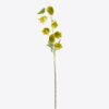 Artificial Flower Thunberg Fritillary Bulb single stem GS-83526002_3 Artificial Flower 11*6*86cm Thunberg Fritillary Bulb single stem GS-83526002 2026SEP 3,000+ sqm showroom with thousands of artificial flowers, plants & trees ready for global sourcing.