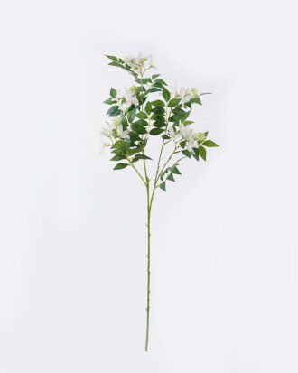 Artificial Flower 27*10*90cm Tuberose single stem GS-84426002-W1 2026SEP 3,000+ sqm showroom with thousands of artificial flowers, plants & trees ready for global sourcing. Artificial Flower 27*10*90cm Tuberose single stem GS-84426002-W1 2026SEP 3,000+ sqm showroom with thousands of artificial flowers, plants & trees ready for global sourcing.
