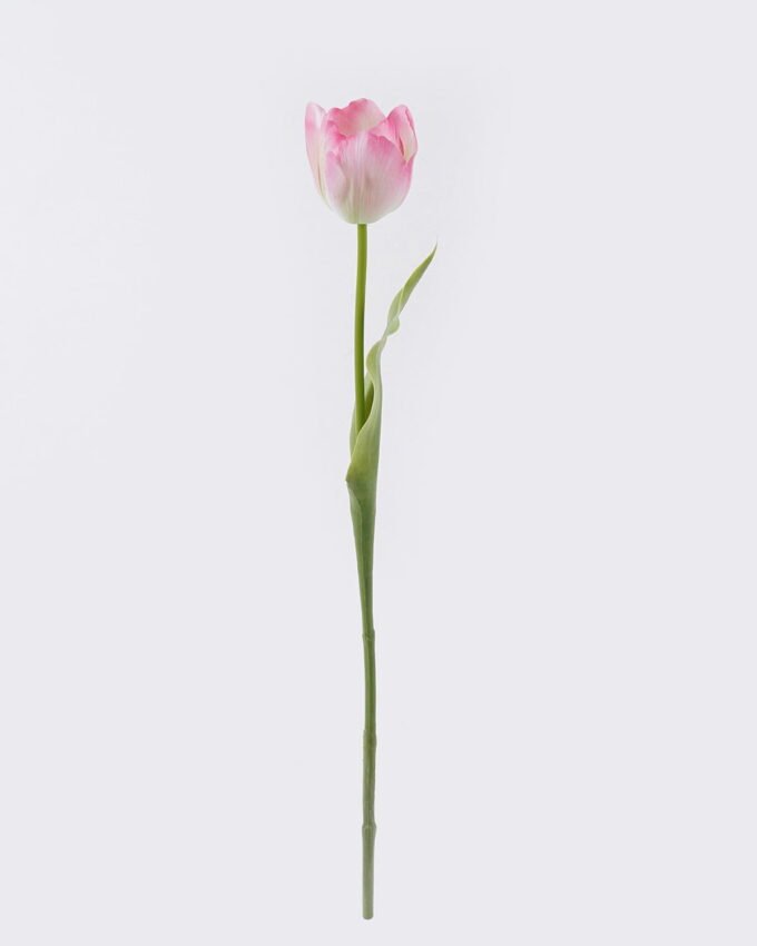 Artificial Flower Tulip single stem real touch GS-68626006-O2_3 Artificial Flower 11*6*61cm Tulip single stem/real touch GS-68626006-O2 2026Aug 3,000+ sqm showroom with thousands of artificial flowers, plants & trees ready for global sourcing.