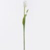 Artificial Flower Tulip single stem real touch GS-68626006-O2_4 Artificial Flower 11*6*61cm Tulip single stem/real touch GS-68626006-O2 2026Aug 3,000+ sqm showroom with thousands of artificial flowers, plants & trees ready for global sourcing.