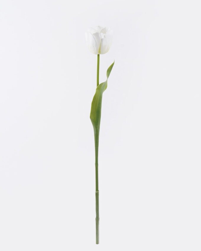 Artificial Flower Tulip single stem real touch GS-68626006-O2_4 Artificial Flower 11*6*61cm Tulip single stem/real touch GS-68626006-O2 2026Aug 3,000+ sqm showroom with thousands of artificial flowers, plants & trees ready for global sourcing.
