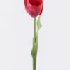 Artificial Flower Tulip single stem real touch GS-68626006-R1_2 Artificial Flower 11*6*61cm Tulip single stem/real touch GS-68626006-R1 2026Aug 3,000+ sqm showroom with thousands of artificial flowers, plants & trees ready for global sourcing.