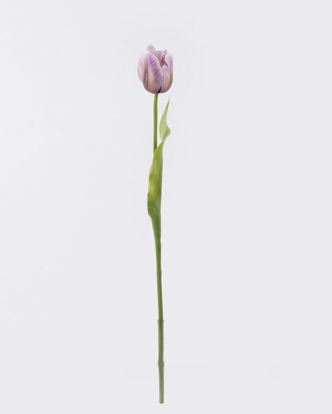 Artificial Flower Tulip single stem real touch GS-68626006-R1_4 Artificial Flower 11*6*61cm Tulip single stem/real touch GS-68626006-R1 2026Aug 3,000+ sqm showroom with thousands of artificial flowers, plants & trees ready for global sourcing.
