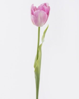 Artificial Flower 11*6*61cm Tulip single stem/real touch GS-68626006 2026Aug 3,000+ sqm showroom with thousands of artificial flowers, plants & trees ready for global sourcing. Artificial Flower 11*6*61cm Tulip single stem/real touch GS-68626006 2026Aug 3,000+ sqm showroom with thousands of artificial flowers, plants & trees ready for global sourcing.