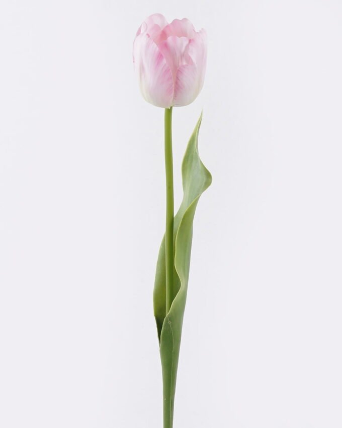 Artificial Flower Tulip single stem real touch GS-68626006_8 Artificial Flower 11*6*61cm Tulip single stem/real touch GS-68626006 2026Aug 3,000+ sqm showroom with thousands of artificial flowers, plants & trees ready for global sourcing.