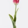 Artificial Flower Tulip single stem real touch GS-68626008-R2_2 Artificial Flower 12*5*45cm Tulip single stem/real touch GS-68626008-R2 2026Aug 3,000+ sqm showroom with thousands of artificial flowers, plants & trees ready for global sourcing.
