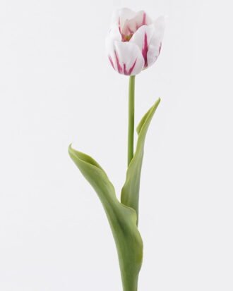 Artificial Flower 12*5*45cm Tulip single stem/real touch GS-68626008-W2 2026Aug 3,000+ sqm showroom with thousands of artificial flowers, plants & trees ready for global sourcing. Artificial Flower 12*5*45cm Tulip single stem/real touch GS-68626008-W2 2026Aug 3,000+ sqm showroom with thousands of artificial flowers, plants & trees ready for global sourcing.