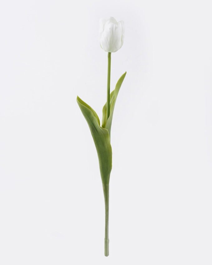 Artificial Flower Tulip single stem real touch GS-68626008-W2_3 Artificial Flower 12*5*45cm Tulip single stem/real touch GS-68626008-W2 2026Aug 3,000+ sqm showroom with thousands of artificial flowers, plants & trees ready for global sourcing.