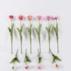 Artificial Flower Tulip single stem real touch GS-68626008_1 Artificial Flower 12*5*45cm Tulip single stem/real touch GS-68626008 2026Aug 3,000+ sqm showroom with thousands of artificial flowers, plants & trees ready for global sourcing.
