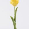 Artificial Flower Tulip single stem real touch GS-68626009-Y1_2 Artificial Flower 9*5*50cm Tulip single stem/real touch GS-68626009-Y1 2026Aug 3,000+ sqm showroom with thousands of artificial flowers, plants & trees ready for global sourcing.