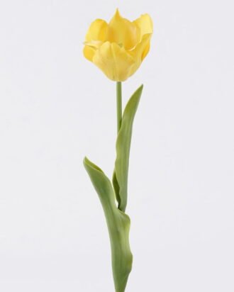 Artificial Flower 9*5*50cm Tulip single stem/real touch GS-68626009-Y1 2026Aug 3,000+ sqm showroom with thousands of artificial flowers, plants & trees ready for global sourcing. Artificial Flower 9*5*50cm Tulip single stem/real touch GS-68626009-Y1 2026Aug 3,000+ sqm showroom with thousands of artificial flowers, plants & trees ready for global sourcing.