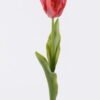 Artificial Flower Tulip single stem real touch GS-68626009_2 Artificial Flower 9*5*50cm Tulip single stem/real touch GS-68626009 2026Aug 3,000+ sqm showroom with thousands of artificial flowers, plants & trees ready for global sourcing.
