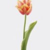 Artificial Flower Tulip single stem real touch GS-68626010_2 Artificial Flower 9*6*43cm Tulip single stem/real touch GS-68626010 2026Aug 3,000+ sqm showroom with thousands of artificial flowers, plants & trees ready for global sourcing.