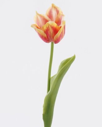 Artificial Flower 9*6*43cm Tulip single stem/real touch GS-68626010 2026Aug 3,000+ sqm showroom with thousands of artificial flowers, plants & trees ready for global sourcing. Artificial Flower 9*6*43cm Tulip single stem/real touch GS-68626010 2026Aug 3,000+ sqm showroom with thousands of artificial flowers, plants & trees ready for global sourcing.