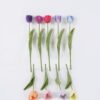 Artificial Flower Tulip single stem real touch GS-68626011 Artificial Flower 6*3*43cm Tulip single stem/real touch GS-68626011 2026Aug 3,000+ sqm showroom with thousands of artificial flowers, plants & trees ready for global sourcing.