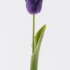 Artificial Flower Tulip single stem real touch GS-68626011-Z3_2 Artificial Flower 6*3*43cm Tulip single stem/real touch GS-68626011-Z3 2026Aug 3,000+ sqm showroom with thousands of artificial flowers, plants & trees ready for global sourcing.