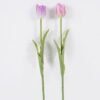 Artificial Flower Tulip single stem real touch GS-68626012 Artificial Flower 8*4*41cm Tulip single stem/real touch GS-68626012 2026Aug 3,000+ sqm showroom with thousands of artificial flowers, plants & trees ready for global sourcing.
