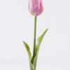Artificial Flower Tulip single stem real touch GS-68626012_2 Artificial Flower 8*4*41cm Tulip single stem/real touch GS-68626012 2026Aug 3,000+ sqm showroom with thousands of artificial flowers, plants & trees ready for global sourcing.
