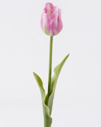 Artificial Flower 8*4*41cm Tulip single stem/real touch GS-68626012 2026Aug 3,000+ sqm showroom with thousands of artificial flowers, plants & trees ready for global sourcing. Artificial Flower 8*4*41cm Tulip single stem/real touch GS-68626012 2026Aug 3,000+ sqm showroom with thousands of artificial flowers, plants & trees ready for global sourcing.