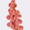 Artificial Flower Vanda 7 single stem moist real touch GS-79826003-O2_1 Artificial Flower 20*12*95cm Vanda *7 single stem /moist real touch GS-79826003-O2 2026SEP 3,000+ sqm showroom with thousands of artificial flowers, plants & trees ready for global sourcing.