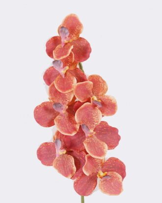 Artificial Flower 20*12*95cm Vanda *7 single stem /moist real touch GS-79826003-O2 2026SEP 3,000+ sqm showroom with thousands of artificial flowers, plants & trees ready for global sourcing. Artificial Flower 20*12*95cm Vanda *7 single stem /moist real touch GS-79826003-O2 2026SEP 3,000+ sqm showroom with thousands of artificial flowers, plants & trees ready for global sourcing.