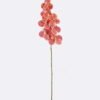 Artificial Flower Vanda 7 single stem moist real touch GS-79826003-O2_3 Artificial Flower 20*12*95cm Vanda *7 single stem /moist real touch GS-79826003-O2 2026SEP 3,000+ sqm showroom with thousands of artificial flowers, plants & trees ready for global sourcing.