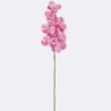 Artificial Flower Vanda 7 single stem moist real touch GS-79826003-P3 Artificial Flower 20*12*95cm Vanda *7 single stem /moist real touch GS-79826003-P3 2026SEP 3,000+ sqm showroom with thousands of artificial flowers, plants & trees ready for global sourcing.