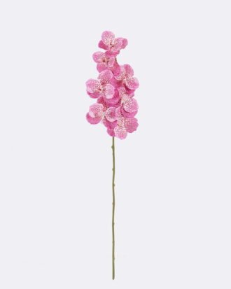 Artificial Flower 20*12*95cm Vanda *7 single stem /moist real touch GS-79826003-P3 2026SEP 3,000+ sqm showroom with thousands of artificial flowers, plants & trees ready for global sourcing. Artificial Flower 20*12*95cm Vanda *7 single stem /moist real touch GS-79826003-P3 2026SEP 3,000+ sqm showroom with thousands of artificial flowers, plants & trees ready for global sourcing.
