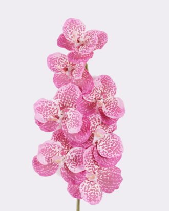 Artificial Flower 20*12*95cm Vanda *7 single stem /moist real touch GS-79826003-P3 2026SEP 3,000+ sqm showroom with thousands of artificial flowers, plants & trees ready for global sourcing. Artificial Flower 20*12*95cm Vanda *7 single stem /moist real touch GS-79826003-P3 2026SEP 3,000+ sqm showroom with thousands of artificial flowers, plants & trees ready for global sourcing.