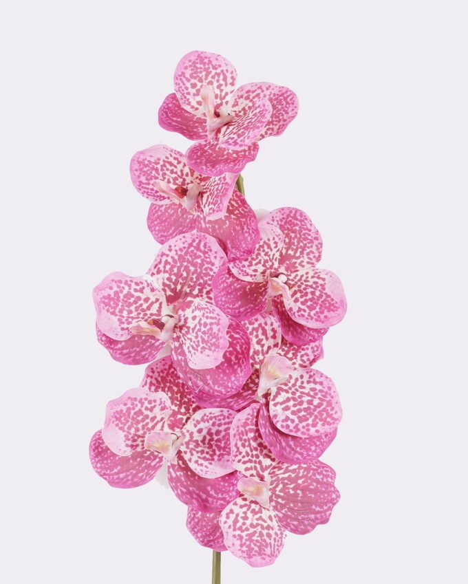 Artificial Flower Vanda 7 single stem moist real touch GS-79826003-P3_1 Artificial Flower 20*12*95cm Vanda *7 single stem /moist real touch GS-79826003-P3 2026SEP 3,000+ sqm showroom with thousands of artificial flowers, plants & trees ready for global sourcing.