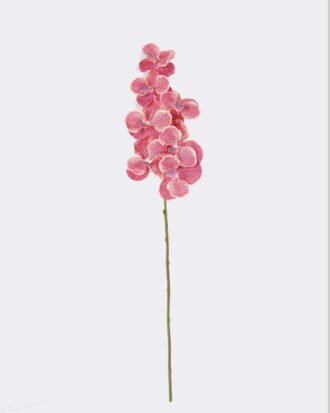 Artificial Flower 20*12*95cm Vanda *7 single stem /moist real touch GS-79826003-R1 2026SEP 3,000+ sqm showroom with thousands of artificial flowers, plants & trees ready for global sourcing. Artificial Flower 20*12*95cm Vanda *7 single stem /moist real touch GS-79826003-R1 2026SEP 3,000+ sqm showroom with thousands of artificial flowers, plants & trees ready for global sourcing.