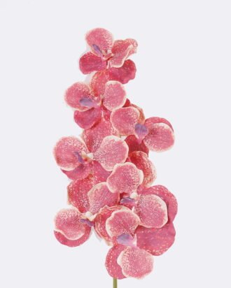 Artificial Flower 20*12*95cm Vanda *7 single stem /moist real touch GS-79826003-R1 2026SEP 3,000+ sqm showroom with thousands of artificial flowers, plants & trees ready for global sourcing. Artificial Flower 20*12*95cm Vanda *7 single stem /moist real touch GS-79826003-R1 2026SEP 3,000+ sqm showroom with thousands of artificial flowers, plants & trees ready for global sourcing.
