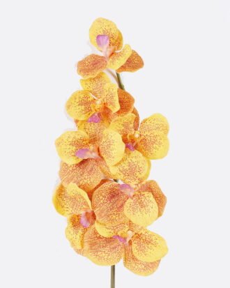 Artificial Flower 20*12*95cm Vanda *7 single stem /moist real touch GS-79826003-Y1 2026SEP 3,000+ sqm showroom with thousands of artificial flowers, plants & trees ready for global sourcing. Artificial Flower 20*12*95cm Vanda *7 single stem /moist real touch GS-79826003-Y1 2026SEP 3,000+ sqm showroom with thousands of artificial flowers, plants & trees ready for global sourcing.
