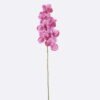 Artificial Flower Vanda 7 single stem moist real touch GS-79826003-Z1_1 Artificial Flower 20*12*95cm Vanda *7 single stem /moist real touch GS-79826003-Z1 2026SEP 3,000+ sqm showroom with thousands of artificial flowers, plants & trees ready for global sourcing.